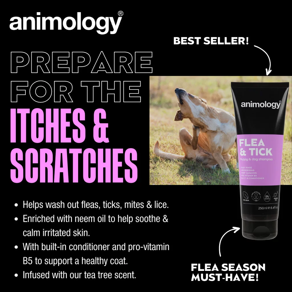 Itches & Scratches/Ear Cleaner/Tear Stain Remover (Eng) - 1