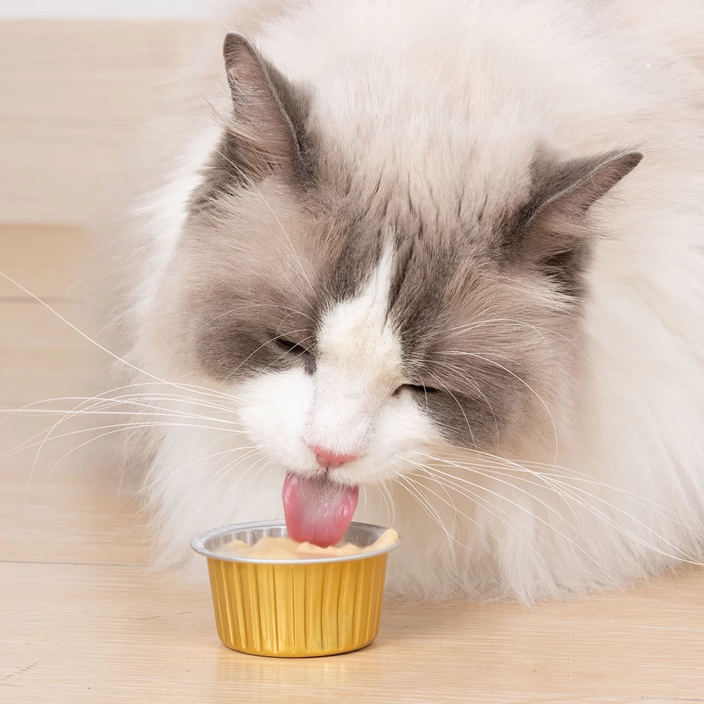 UCW0012_cat-wet-food-delight-shake-60gx6pcs-can-duck-pear_UNIQ_22_1000px